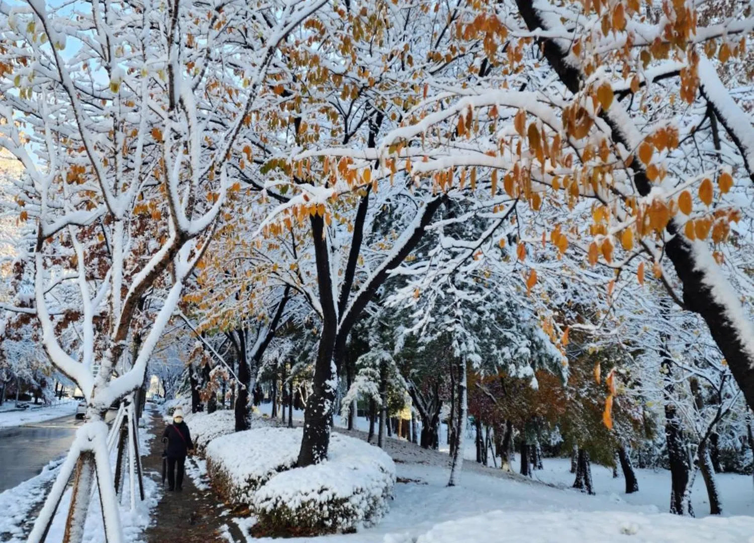 Disco Pangpang Guesthouse 인천 대한민국